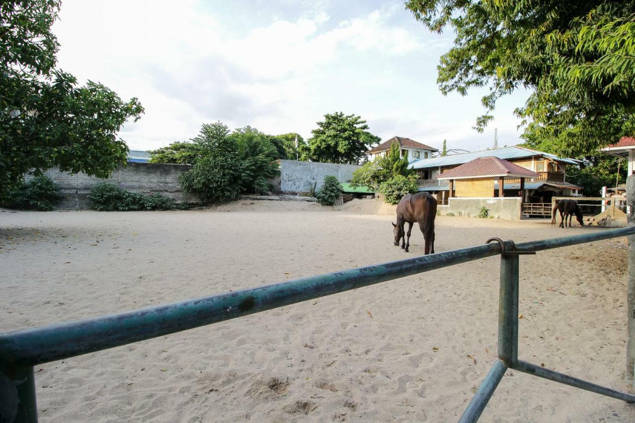 Mesari Beach Inn & Stables Seminyak Exteriér fotografie